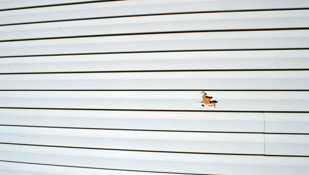  Bent Creek, NC Siding Installation Pros