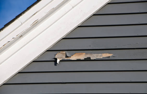 Best Insulated Siding Installation  in Bent Creek, NC
